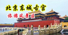 熟女大黑逼中国北京-东城古宫旅游风景区